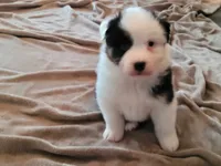 processed/e033d3ba-4c55-42ec-bd2f-19b6c9c5608b/facility/2422bfad-0adc-4c7c-b654-d0fe644860c0