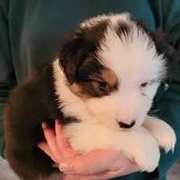 processed/e033d3ba-4c55-42ec-bd2f-19b6c9c5608b/facility/49e460d6-f24b-4392-b31e-eb271a15e165