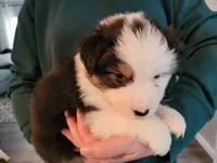 processed/e033d3ba-4c55-42ec-bd2f-19b6c9c5608b/facility/49e460d6-f24b-4392-b31e-eb271a15e165