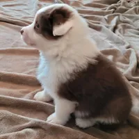 processed/e033d3ba-4c55-42ec-bd2f-19b6c9c5608b/facility/5c475191-99c0-487a-b079-b3a156221c35