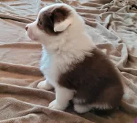 processed/e033d3ba-4c55-42ec-bd2f-19b6c9c5608b/facility/5c475191-99c0-487a-b079-b3a156221c35