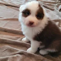 processed/e033d3ba-4c55-42ec-bd2f-19b6c9c5608b/facility/87346626-3c62-4d30-8e9b-a993a7de3505