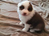 processed/e033d3ba-4c55-42ec-bd2f-19b6c9c5608b/facility/87346626-3c62-4d30-8e9b-a993a7de3505