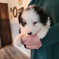 processed/e033d3ba-4c55-42ec-bd2f-19b6c9c5608b/facility/a5c63ee8-95b4-4b96-a4d6-022f3de13385