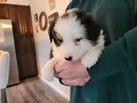 processed/e033d3ba-4c55-42ec-bd2f-19b6c9c5608b/facility/a5c63ee8-95b4-4b96-a4d6-022f3de13385