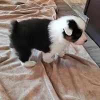 processed/e033d3ba-4c55-42ec-bd2f-19b6c9c5608b/facility/f3169cc2-d4fa-4392-b502-186bf4a250a8