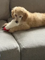 processed/e0393f9e-f746-446c-b475-a72b3af1554d/listing/952dbfc9-4723-4f1e-9a18-101c7bb0e1b3/086d7c35-e749-4c55-bae2-98bb0771e37a