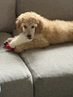 processed/e0393f9e-f746-446c-b475-a72b3af1554d/listing/952dbfc9-4723-4f1e-9a18-101c7bb0e1b3/23d5dc8e-0cac-402e-ad3d-a09b13fae3ff