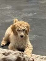 processed/e0393f9e-f746-446c-b475-a72b3af1554d/listing/952dbfc9-4723-4f1e-9a18-101c7bb0e1b3/7ab85406-ec99-428d-8337-008863c6244d