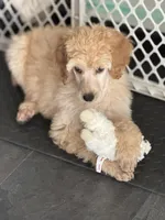 processed/e0393f9e-f746-446c-b475-a72b3af1554d/listing/952dbfc9-4723-4f1e-9a18-101c7bb0e1b3/86aa31da-d06d-414a-8487-207f12fb30f8