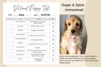 processed/e0393f9e-f746-446c-b475-a72b3af1554d/listing/952dbfc9-4723-4f1e-9a18-101c7bb0e1b3/bfd723f8-0363-4f82-8527-344d12d55de5