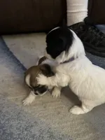 processed/e03b8048-fe26-46b9-8bf1-4d5bab13539c/facility/0b30c336-08d8-4b7a-988a-226acbecf155