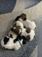 processed/e03b8048-fe26-46b9-8bf1-4d5bab13539c/facility/2b756d4a-4219-4c29-b6a8-c4d3cee68dd9