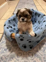 processed/e03b8048-fe26-46b9-8bf1-4d5bab13539c/facility/4331669f-75d2-4c3f-bf87-99f2183a1d8f