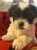 processed/e03b8048-fe26-46b9-8bf1-4d5bab13539c/facility/84732a29-547e-4f89-a8a7-e3606c44a7b7