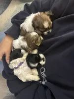 processed/e03b8048-fe26-46b9-8bf1-4d5bab13539c/facility/868e0c4d-d1de-4946-bfec-a0cf47e8bb7f