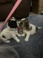 processed/e03b8048-fe26-46b9-8bf1-4d5bab13539c/facility/c8e0edc4-bfcd-432c-80dc-08b28b9dcfb0