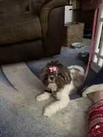 processed/e03b8048-fe26-46b9-8bf1-4d5bab13539c/facility/ca81f4cb-b61e-460d-bc61-6524b9b98213