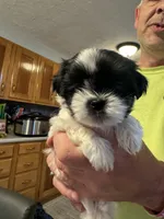 processed/e03b8048-fe26-46b9-8bf1-4d5bab13539c/facility/ec7f5302-cab8-4e72-9137-9955e4518f9c