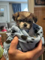 processed/e03b8048-fe26-46b9-8bf1-4d5bab13539c/facility/f6f2e5d2-458b-4c54-89b3-57c1d07f52f8