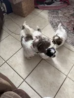 processed/e03b8048-fe26-46b9-8bf1-4d5bab13539c/listing/77a9c85d-8eb9-4c5f-a4ad-16a6cd55b944/6bffed30-a527-40e4-871d-a9524a39f71b