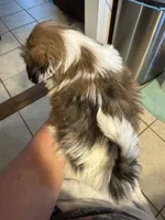 processed/e03b8048-fe26-46b9-8bf1-4d5bab13539c/listing/77a9c85d-8eb9-4c5f-a4ad-16a6cd55b944/a4a2c20a-b8c9-42c0-9b90-93a133944c79