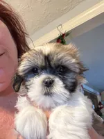 processed/e03b8048-fe26-46b9-8bf1-4d5bab13539c/listing/77a9c85d-8eb9-4c5f-a4ad-16a6cd55b944/a8933fb0-0604-46a8-ad69-dd753fca370e