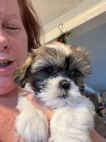 processed/e03b8048-fe26-46b9-8bf1-4d5bab13539c/listing/77a9c85d-8eb9-4c5f-a4ad-16a6cd55b944/de56cbe2-58af-460f-abdc-537e5c062785