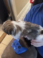 processed/e03b8048-fe26-46b9-8bf1-4d5bab13539c/listing/77a9c85d-8eb9-4c5f-a4ad-16a6cd55b944/e2f443ec-7801-4232-a76b-a08c553c31c2