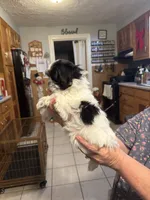 processed/e03b8048-fe26-46b9-8bf1-4d5bab13539c/listing/8acb6339-4d26-4676-8b25-ca8793ba1578/1a4adddf-3551-41fb-8cd4-7e140bacffdb