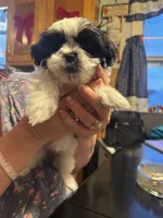 processed/e03b8048-fe26-46b9-8bf1-4d5bab13539c/listing/8acb6339-4d26-4676-8b25-ca8793ba1578/201ae328-3b61-4353-8c90-48d9b04ef783