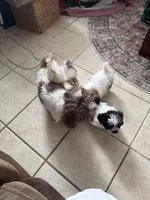 processed/e03b8048-fe26-46b9-8bf1-4d5bab13539c/listing/8acb6339-4d26-4676-8b25-ca8793ba1578/33dba888-051b-4fff-a27f-22777c217083