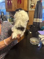 processed/e03b8048-fe26-46b9-8bf1-4d5bab13539c/listing/8acb6339-4d26-4676-8b25-ca8793ba1578/6da64344-e9a3-4fd0-8dc3-89f9f76cb26c