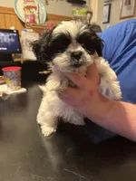 processed/e03b8048-fe26-46b9-8bf1-4d5bab13539c/listing/8acb6339-4d26-4676-8b25-ca8793ba1578/84acd329-bb20-4eb0-9b38-71c322f68cd5