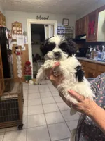 processed/e03b8048-fe26-46b9-8bf1-4d5bab13539c/listing/8acb6339-4d26-4676-8b25-ca8793ba1578/8ac86d19-4218-47d4-abb9-80b3022f878e