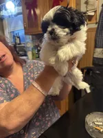 processed/e03b8048-fe26-46b9-8bf1-4d5bab13539c/listing/8acb6339-4d26-4676-8b25-ca8793ba1578/b706e2f2-6426-4b7b-b95c-65d483dac254