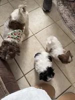 processed/e03b8048-fe26-46b9-8bf1-4d5bab13539c/listing/8acb6339-4d26-4676-8b25-ca8793ba1578/ff4bd678-7ee2-43bb-a726-3f86b83cb6e9