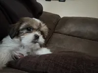 processed/e03b8048-fe26-46b9-8bf1-4d5bab13539c/listing/8d421bff-3ead-4d18-9310-a2d60656bd02/44138b66-8019-4863-b287-2df42511d34d