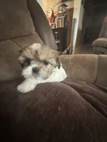 processed/e03b8048-fe26-46b9-8bf1-4d5bab13539c/listing/8d421bff-3ead-4d18-9310-a2d60656bd02/4abfb1fc-8696-4daa-b142-2f0e8920f051