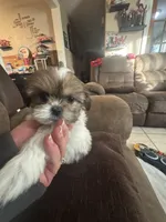 processed/e03b8048-fe26-46b9-8bf1-4d5bab13539c/listing/8d421bff-3ead-4d18-9310-a2d60656bd02/8f1134f9-010a-45ec-920e-34a94c230a29