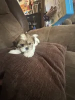 processed/e03b8048-fe26-46b9-8bf1-4d5bab13539c/listing/8d421bff-3ead-4d18-9310-a2d60656bd02/9b257889-ac8a-4881-a202-4fd0b5a3de85