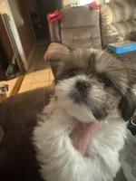 processed/e03b8048-fe26-46b9-8bf1-4d5bab13539c/listing/8d421bff-3ead-4d18-9310-a2d60656bd02/d2ace3ac-7676-436e-96a5-194ec4b9575c