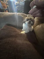 processed/e03b8048-fe26-46b9-8bf1-4d5bab13539c/listing/8d421bff-3ead-4d18-9310-a2d60656bd02/e5a635dd-2c30-44ae-915f-57d92c6bed45