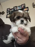 processed/e03b8048-fe26-46b9-8bf1-4d5bab13539c/listing/8d421bff-3ead-4d18-9310-a2d60656bd02/ed1d29d3-fee1-4cb5-b09a-f7299b3164c0