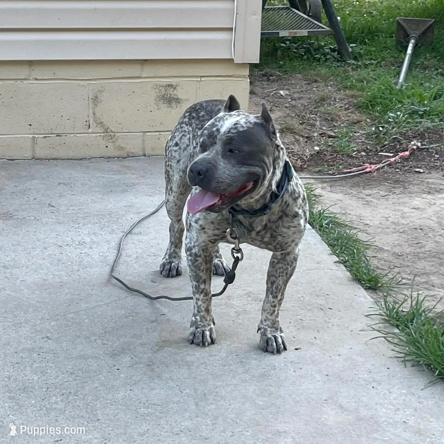 processed/e04e61fe-5722-470c-8713-6ecbae98eef9/listing/bd9d6c72-306e-4200-aaac-99391984cfd5/0bf05dc0-f6de-458d-b293-449bc9470d43