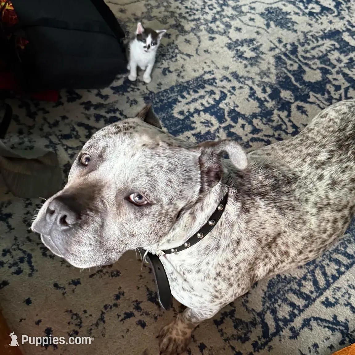 processed/e04e61fe-5722-470c-8713-6ecbae98eef9/listing/bd9d6c72-306e-4200-aaac-99391984cfd5/c1356a1b-4892-4ca9-ba33-54de034bea56