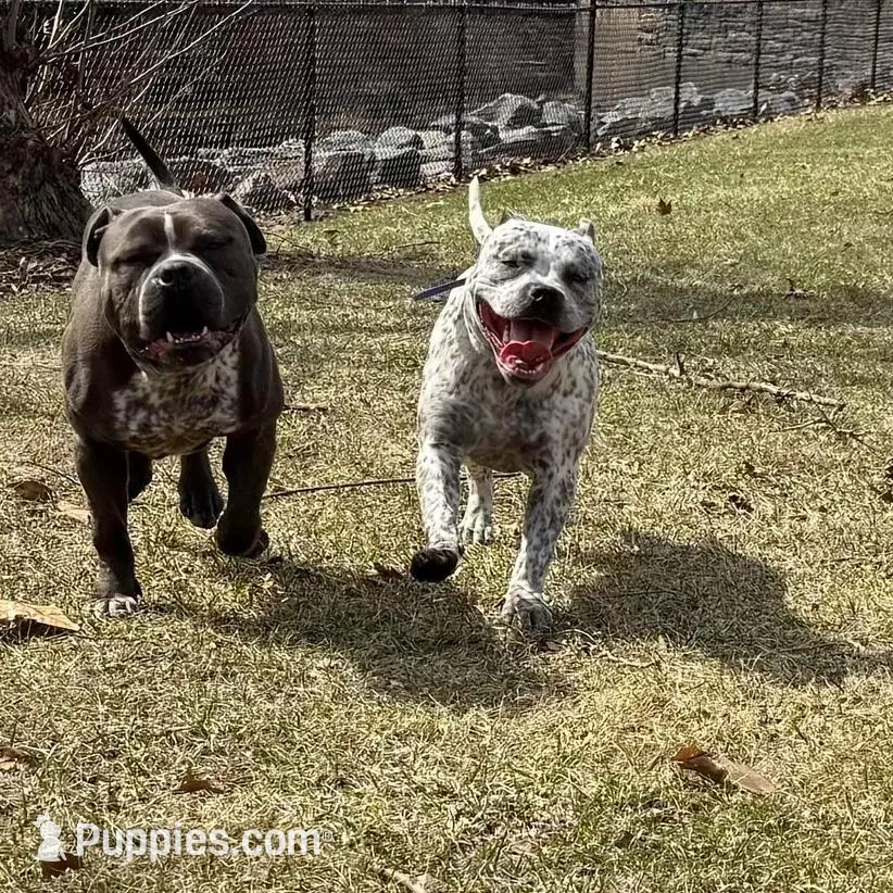 processed/e04e61fe-5722-470c-8713-6ecbae98eef9/listing/bd9d6c72-306e-4200-aaac-99391984cfd5/c31c424b-ab30-4705-a74c-9c01977d981b