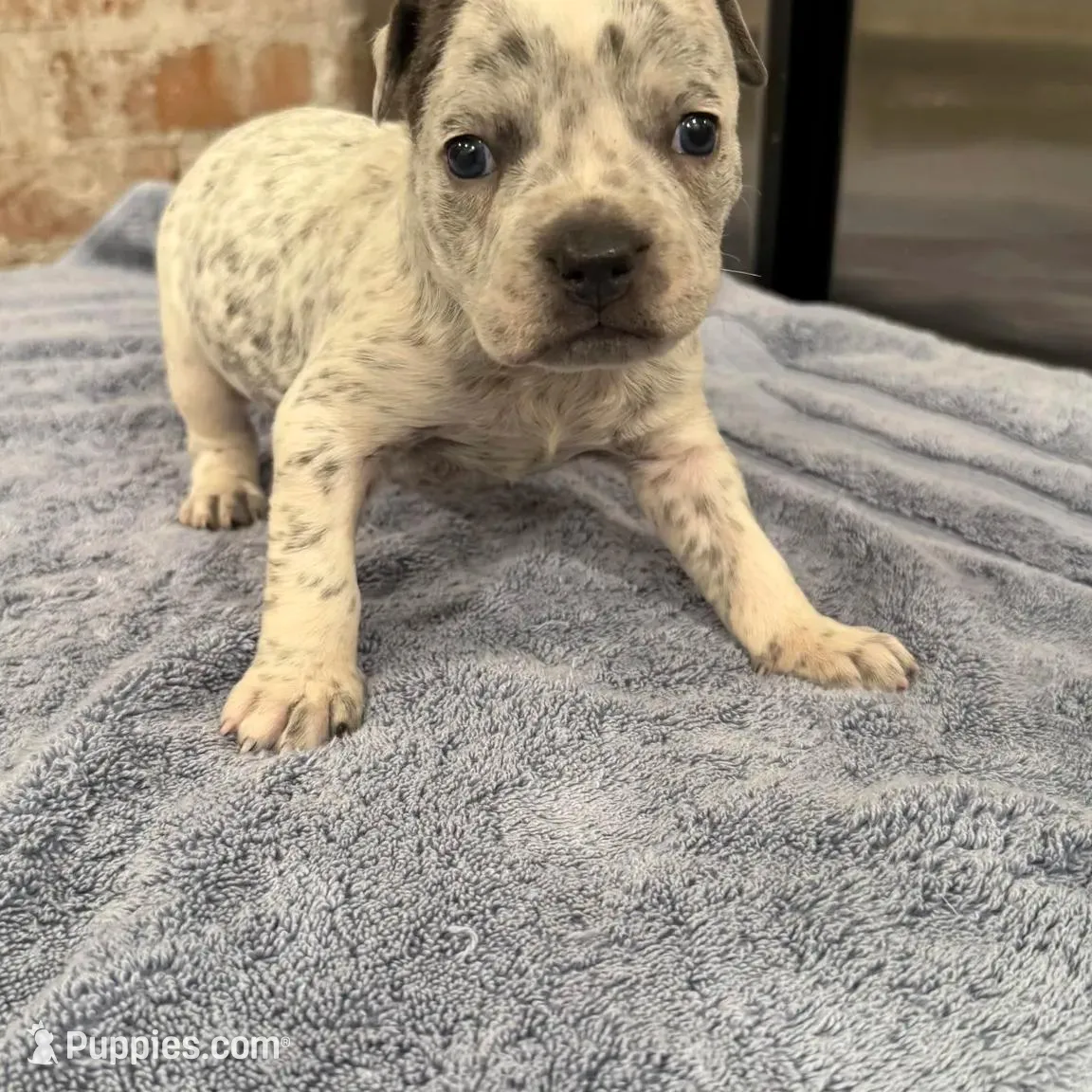 processed/e04e61fe-5722-470c-8713-6ecbae98eef9/listing/bd9d6c72-306e-4200-aaac-99391984cfd5/da4757d1-1a8a-4981-899d-498bf303a60a