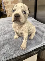 processed/e04e61fe-5722-470c-8713-6ecbae98eef9/listing/bd9d6c72-306e-4200-aaac-99391984cfd5/ea13db67-23f5-4ccd-9504-7918a3848809