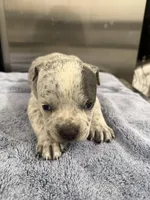 processed/e04e61fe-5722-470c-8713-6ecbae98eef9/listing/bd9d6c72-306e-4200-aaac-99391984cfd5/f081eb20-d10c-4728-88ee-2906db68dfe9